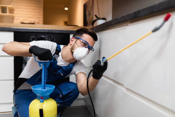 Best Pest Removal Services  in Eglin Af, FL