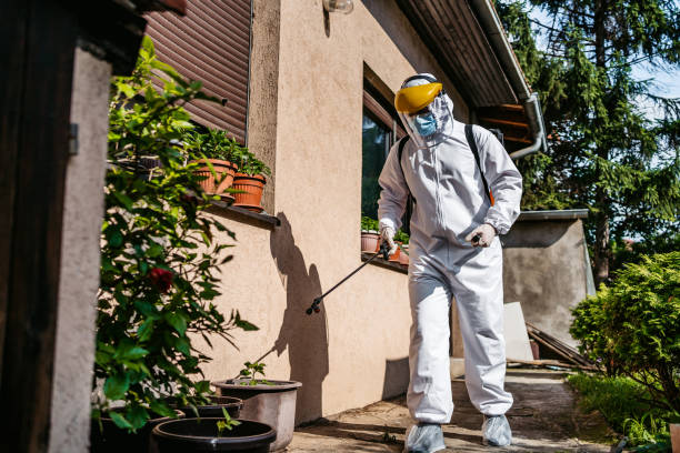 Best Emergency Pest Control  in Eglin Af, FL