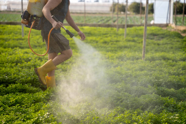 Best Exterminator Services  in Eglin Af, FL