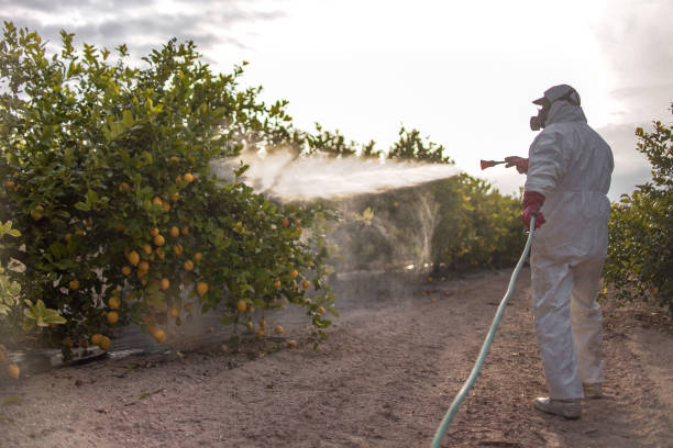 Reliable Eglin Af, FL Pest Control Solutions