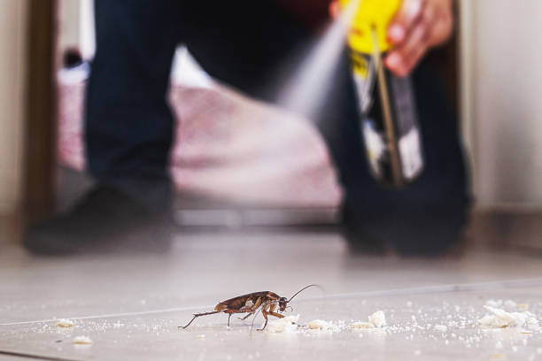 Best Affordable Pest Control Services  in Eglin Af, FL