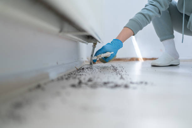 Best Pest Prevention Services  in Eglin Af, FL