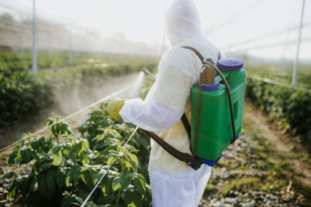 Best Bed Bug Extermination  in Eglin Af, FL